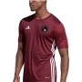 Maillot adidas Tabela23